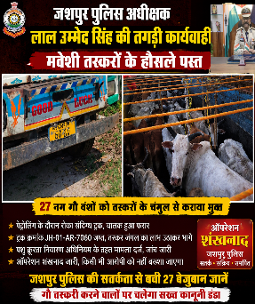 Photo of ऑपरेशन शंखनाद का बड़ा धमाका : जशपुर पुलिस ने गौ तस्करों की तोड़ी कमर, 27 गौ वंश मौत के मुंह से छुड़ाए  भोर होते ही लोदाम में गूंजा पुलिस का शंखनाद, तस्कर ट्रक छोड़ जंगल में भागे