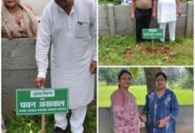 Photo of *पालीडीह में हरियाली का संकल्प: अखिल भारतीय अग्रवाल सम्मेलन जशपुर इकाई द्वारा वृक्षारोपण, 100+ पौधे लगाए गए*