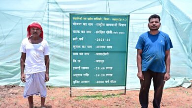 Photo of संरक्षित खेती और उद्यानिकी से जशपुर के किसान अनारथ साय ने लिखी आत्मनिर्भरता की नई कहानी