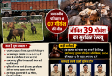 Photo of गौवंश तस्करों की चाल धरी रह गई! धरमजयगढ़ पुलिस की घेराबंदी में जंगल में ट्रक छोड़कर भागे तस्कर, 39 गौवंश रेस्क्यू 4.  तिरपाल के नीचे छिपा था मौत का मंजर! 14 चक्का ट्रक से 46 गौवंश बरामद, 7 मृत मिले
