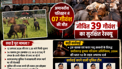 Photo of गौवंश तस्करों की चाल धरी रह गई! धरमजयगढ़ पुलिस की घेराबंदी में जंगल में ट्रक छोड़कर भागे तस्कर, 39 गौवंश रेस्क्यू 4.  तिरपाल के नीचे छिपा था मौत का मंजर! 14 चक्का ट्रक से 46 गौवंश बरामद, 7 मृत मिले